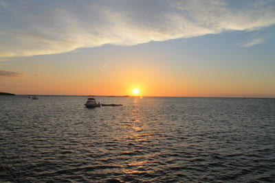 Marlin-del-Rey---sunset